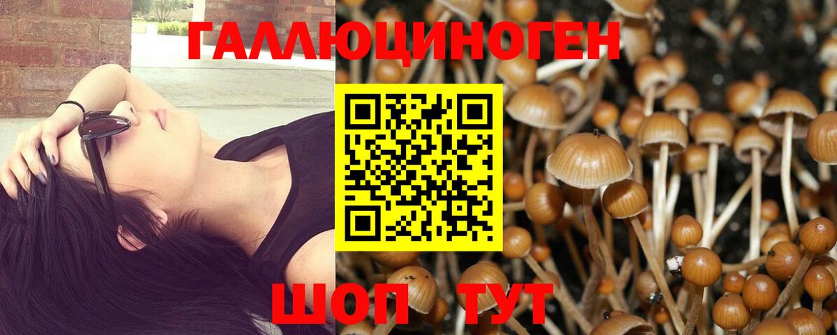 Спасск-Дальний  Псилоцибиновые грибы MAGIC MUSHROOMS  Вход с VPN 